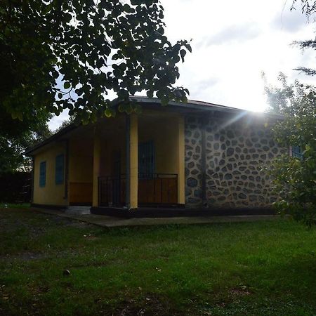 Chef Wondim Backpackers Hostel قوندر المظهر الخارجي الصورة