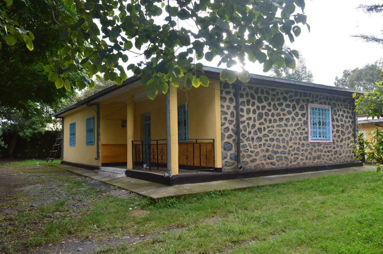 Chef Wondim Backpackers Hostel قوندر المظهر الخارجي الصورة