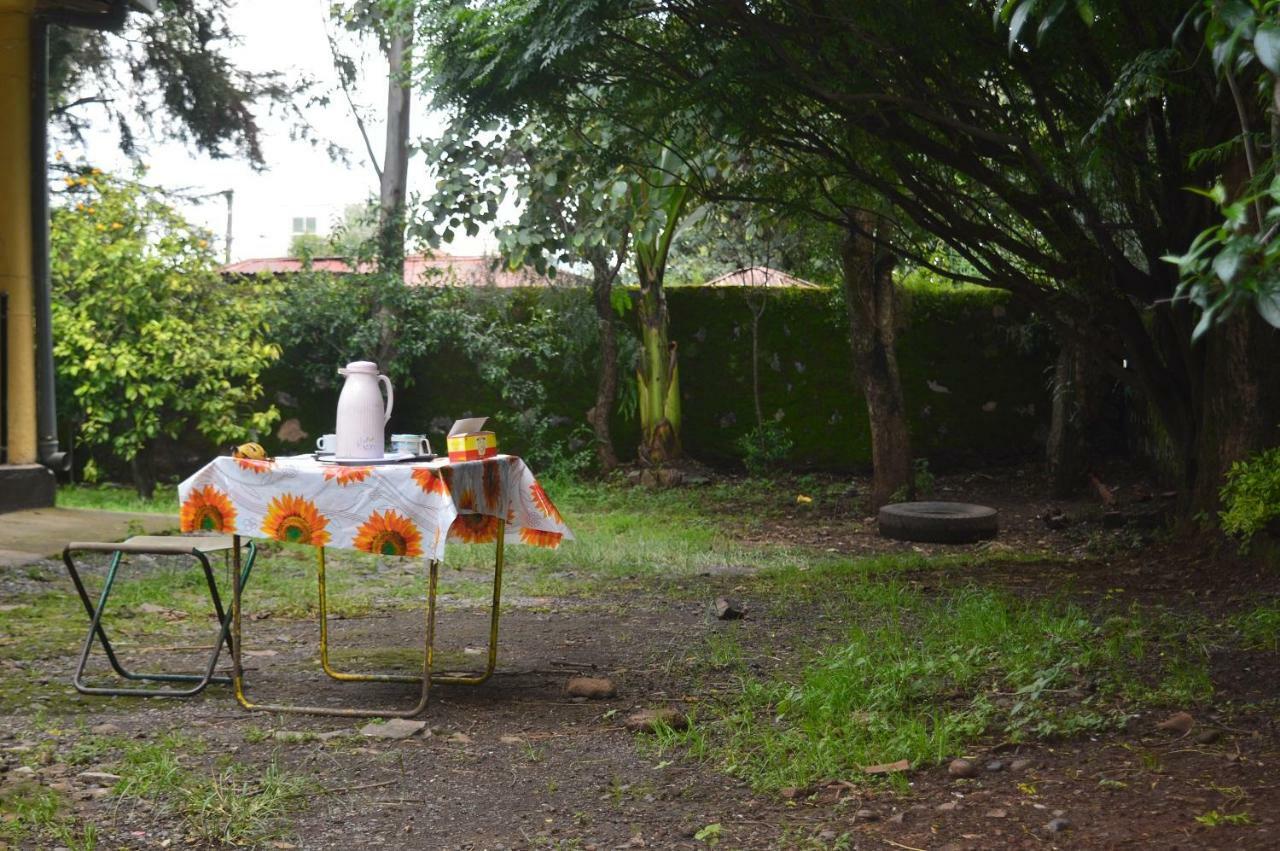 Chef Wondim Backpackers Hostel قوندر المظهر الخارجي الصورة